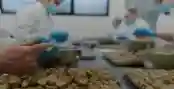 Chi siamo