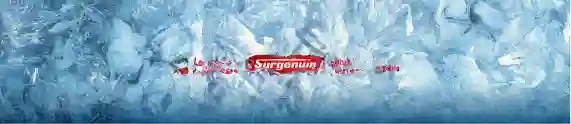Surgenuin